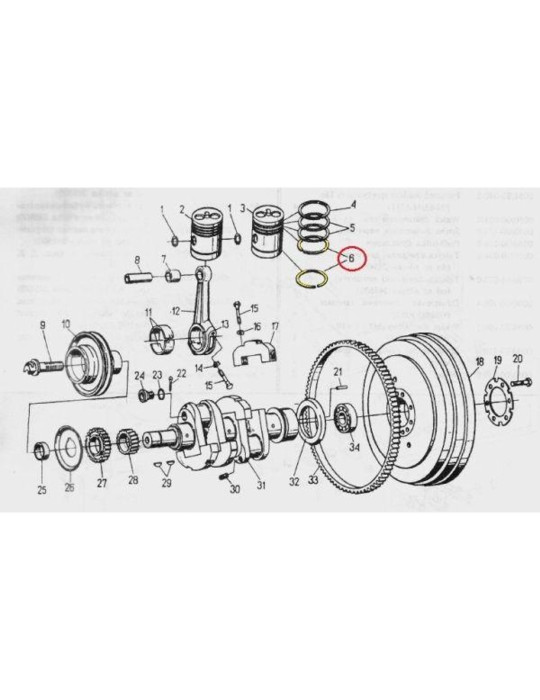 Pierścień 50107050
olejowy
