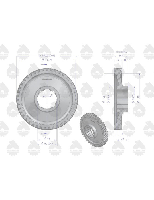 KOŁO 50214061 C-330M URSUS OEM
na wał 50214050 współpr.z wał.sprzęg.
43z lewosk 8 wpus  C-330Mst.zaz.szerokie