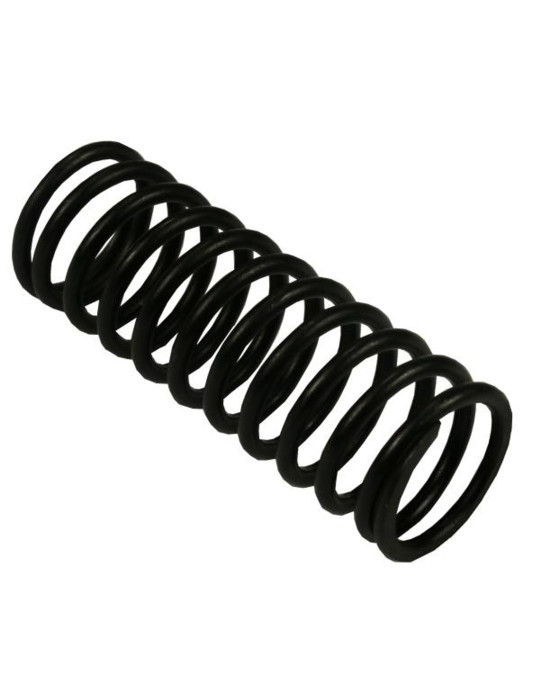 Sprężyna 50001341
zaworów wewnętrzna
