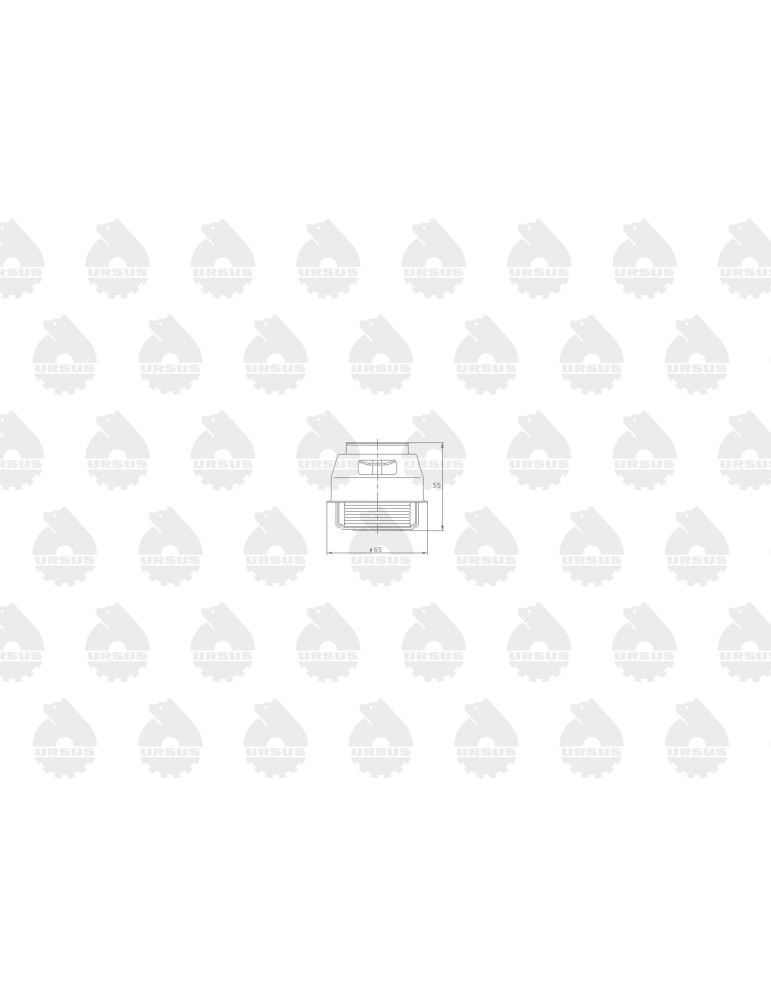 Termostat 50000820
TS-8B