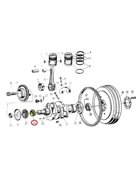 KOŁO 50001800 ROZRZĄDU NA WAŁ
 50001800
C330 wału korb.


020270