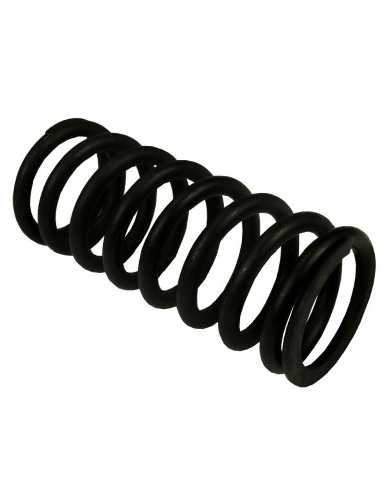 SPRĘŻYNA 80021088 
docisku sprzegła mniejsza
Barabaś
