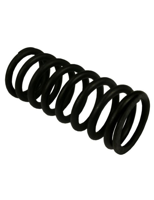 SPRĘŻYNA 80021088 
docisku sprzegła mniejsza
Barabaś
