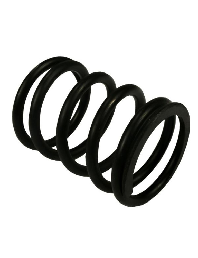 SPRĘŻYNA ZAWOROWA ZEW 
89005501   80005013

AR160864