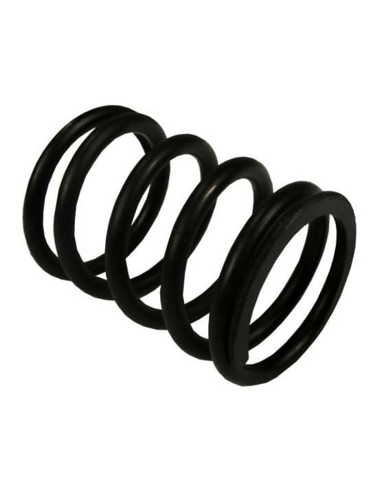 SPRĘŻYNA ZAWOROWA ZEW 
89005501   80005013

AR160864