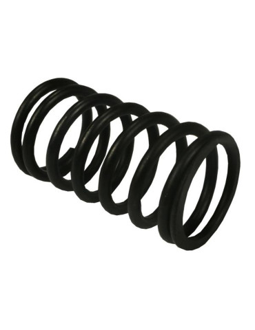 SPRĘŻYNA ZAWOROWA WEW 
89005502

AR160863