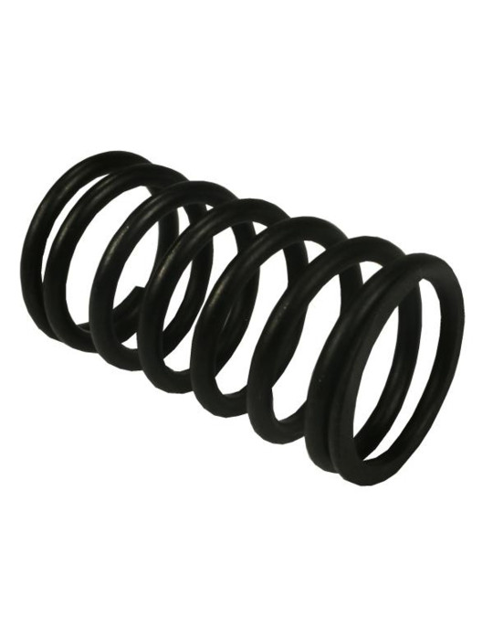 SPRĘŻYNA ZAWOROWA WEW 
89005502

AR160863