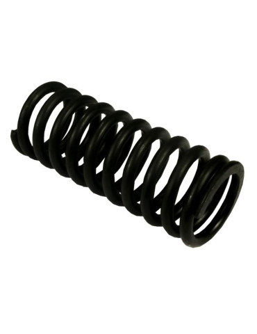 SPRĘŻYNA 80126053 CYLINDEREK WZMACNIACZA
