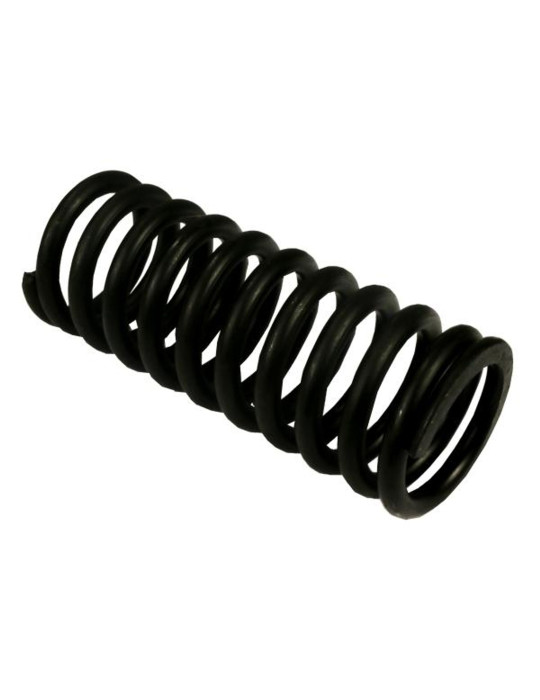 SPRĘŻYNA 80126053 CYLINDEREK WZMACNIACZA
