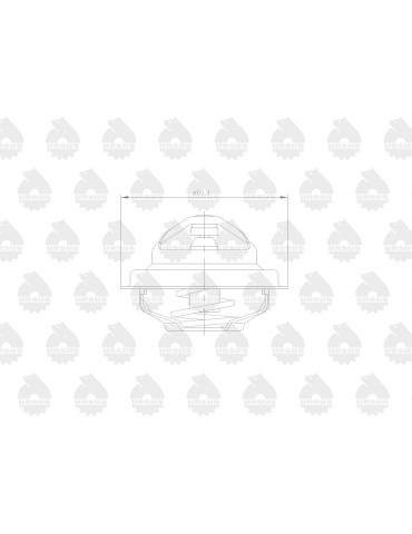 Termostat 80005902
C-385+poch. 4cyl
AR164213
 2