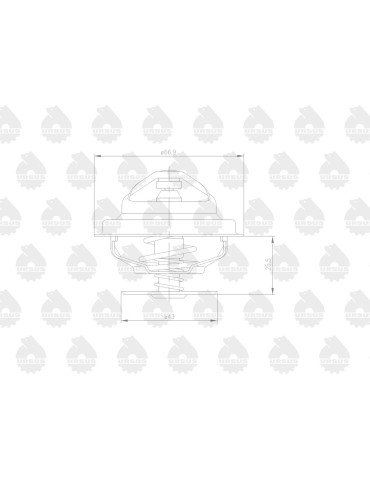 Termostat 89005904
70011316
M1577 U1614+poch. 6-cyl
 2