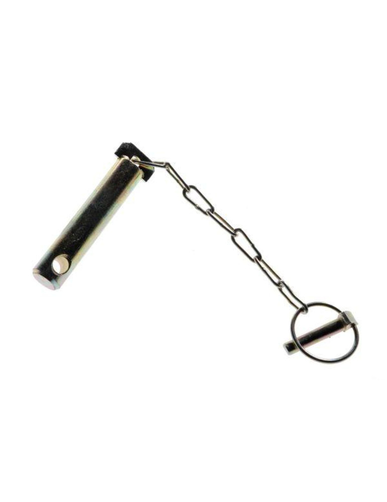 Sworzeń 
46650270
śruby centralnej 466502710

AR010654
