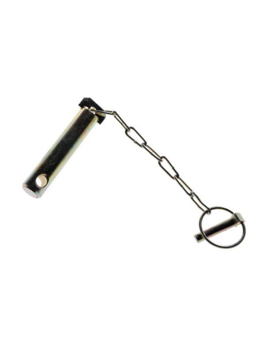 Sworzeń 
46650270
śruby centralnej 466502710

AR010654
