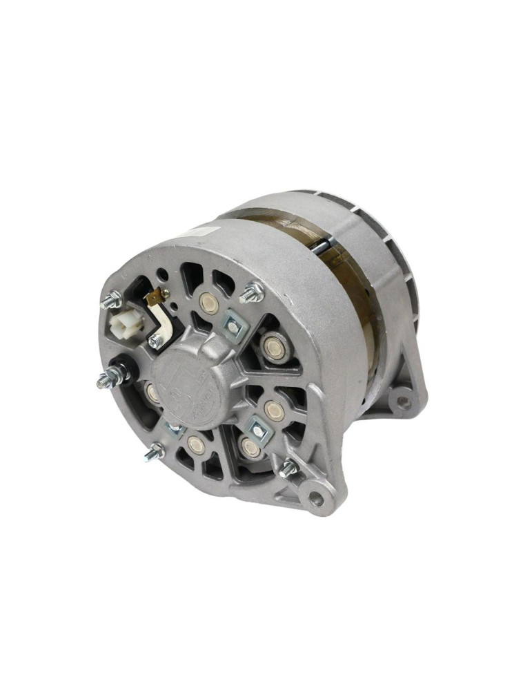 ALTERNATOR A120E SW400 EXPOM
EX-257000EX

504099905  A120E
SW-400

A120E  
366000  
AR 300350
120e

6203
6304
