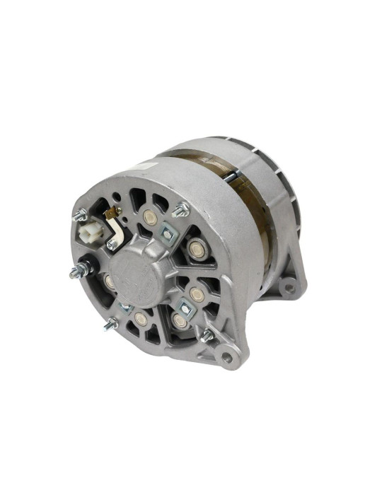 ALTERNATOR A120E SW400 EXPOM
EX-257000EX

504099905  A120E
SW-400

A120E  
366000  
AR 300350
120e

6203
6304
