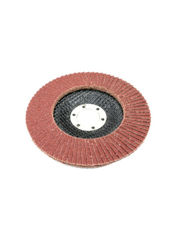 TARCZA LAMELKOWA 125MM GR60
Tarcza do szlifierki 125 mm lamelkowa z elektrokorundem GR60 (sprzedawana po 10 szt.) Wa... 2