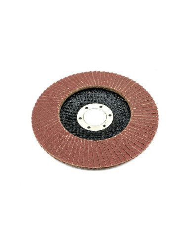 TARCZA LAMELKOWA 125MM GR120
Tarcza do szlifierki 125 mm lamelkowa z elektrokorundem GR120 (sprzedawana po 10 szt.)... 2