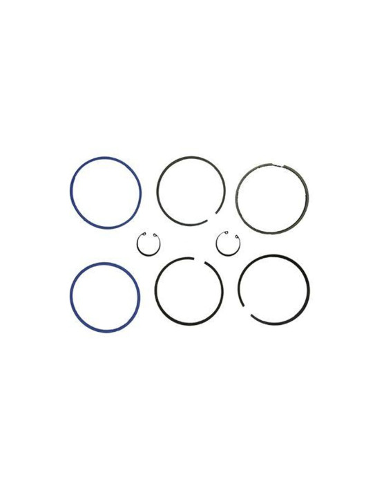 Zestaw naprawczy 102/4p
 4pier fi 102   70110099   69110099
5211,5245, 7011,7045, 7211,7245.
AR 472420 komora spla...
