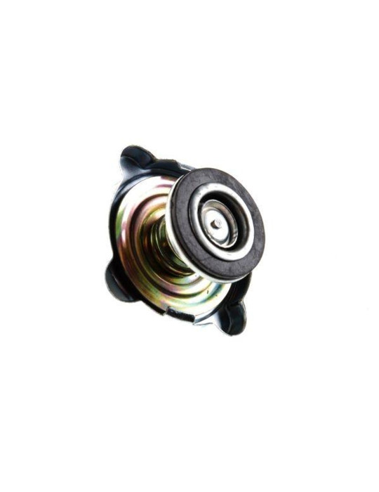 KOREK CHŁODNICY MAŁY 09574 
CHŁODNICY MAŁY 09574 2uszczelki
KOREK CHŁODNICY MAŁY 09574 2uszczelki
42293100
846139...