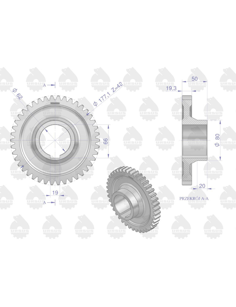 KOŁO 50419680
4 BIEG URSU CHEŁMNO
