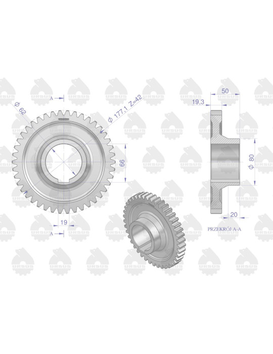 KOŁO 50419680
4 BIEG URSU CHEŁMNO